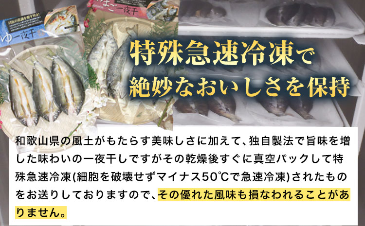 「旨いはずです。」特選あゆ一夜干しセット(13枚入)　日高川漁業協同組合《90日以内に出荷予定(土日祝除く)》 和歌山県 日高川町 あゆ 鮎 魚 一夜干し(f-2)