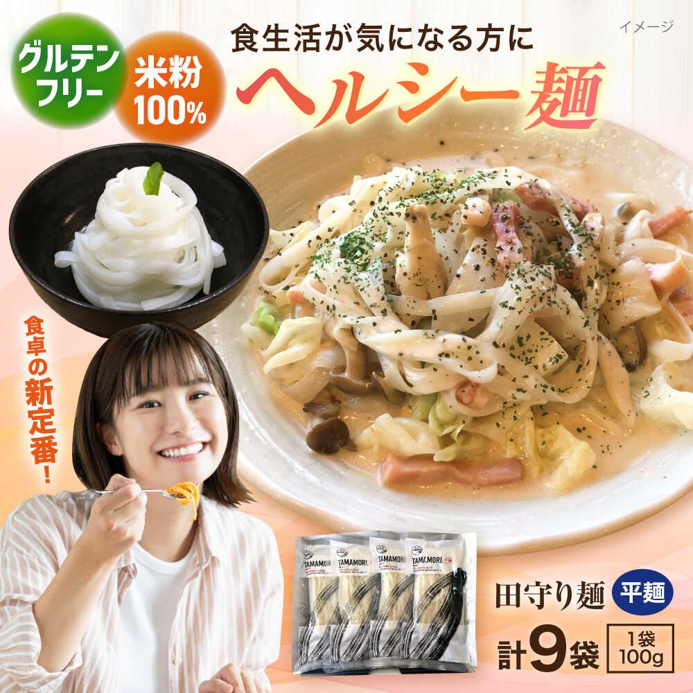 【ふるさと納税】米粉麺 グルテンフリー米粉100%麺 田守り麺（平麺）100g入×9袋 | グルテンフリー 米粉 100% 麺 ライスヌードル ヌードル 麺類 めん 平麺 小分け 大容量 セット おすすめ ギフト プレゼント 島根県雲南市/有限会社木村有機農園[AICU003]