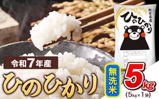 令和7年産  無洗米 ひのひかり 5kg 《7-14日以内に出荷予定(土日祝除く)》 熊本県産 ふるさと納税 精米 ひの 米 こめ ふるさとのうぜい ヒノヒカリ コメ お米 おこめ