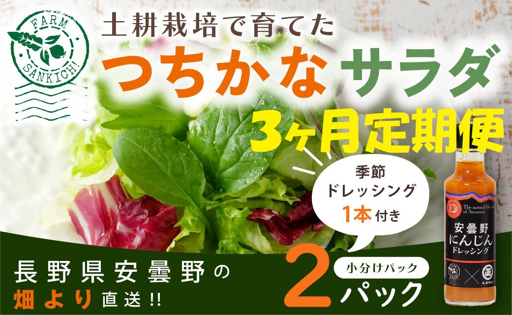 
            サラダミックスとドレシングのセット （小） 【定期便３ヶ月連続】
          