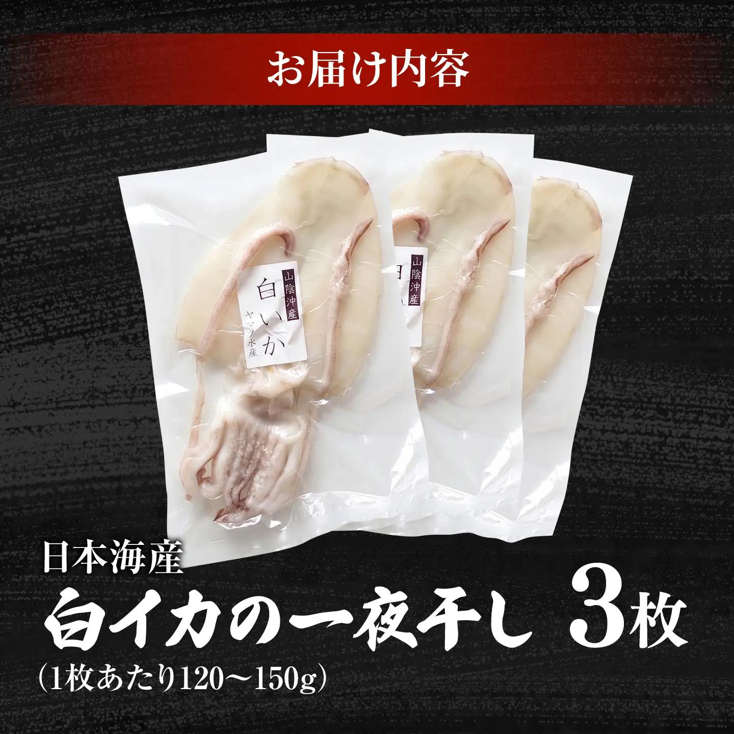 【1週間以内発送】白イカ 一夜干し 3枚セット 島根県松江市/有限会社ヤマヲ水産 ｜冷凍 おつまみ 国産 海鮮 イカ いか 干物[ALDB025]