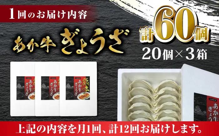 【全12回定期便】熊本和牛 あか牛ぎょうざ 20個×3箱【有限会社 三協畜産】 国産  餃子 ぎょうざ ギョウザ [ZEB092]