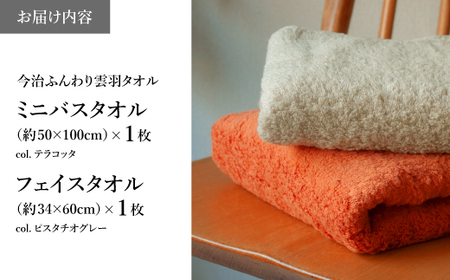 今治ふんわり雲羽タオル ミニバスタオル・フェイスタオルセット(BTテラコッタ、FTピスタチオグレー・各1枚) テラコッタ ピスタチオグレー 今治タオル 今治 日本製 高品質タオル 吸水性 抜群タオル 