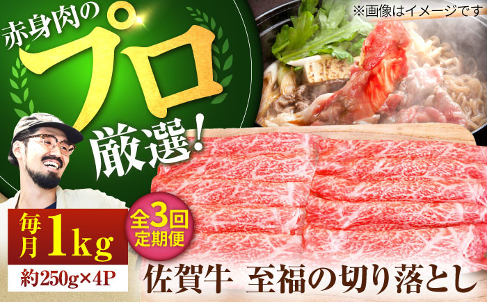 
            【牧場直送】【3回定期便】佐賀牛 至福の切り落とし 1kg（250g×4パック）【佐賀セントラル牧場】佐賀県産 牛肉 切り落とし スライス 小分け 国産 牛肉 きりおとし すき焼き しゃぶしゃぶ 九州 佐賀県 白石町 [IAH094]
          