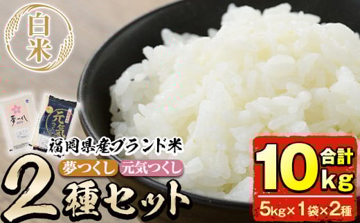 ＜令和7年産＞福岡県産米食べ比べ＜白米＞「夢つくし」と「元気つくし」セット(計10kg・5kg×2)お米 10キロ ごはん ご飯【ksg0413】【朝ごはん本舗】