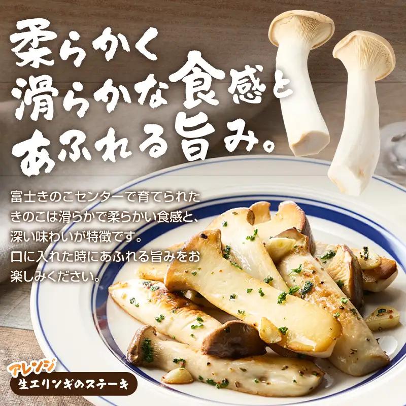 きのこ 富士山タマチョレイ茸 紅富士茸（椎茸） エリンギ 「美味しいきのこセット」 生きのこ 乾燥きのこ 3種 1kg以上 セット 詰め合わせ 薬品類無使用 柔らか 滑らか 旨み 国産 富士市産 富士