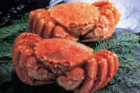 【北海道根室産】毛蟹700g×1尾 C-66016