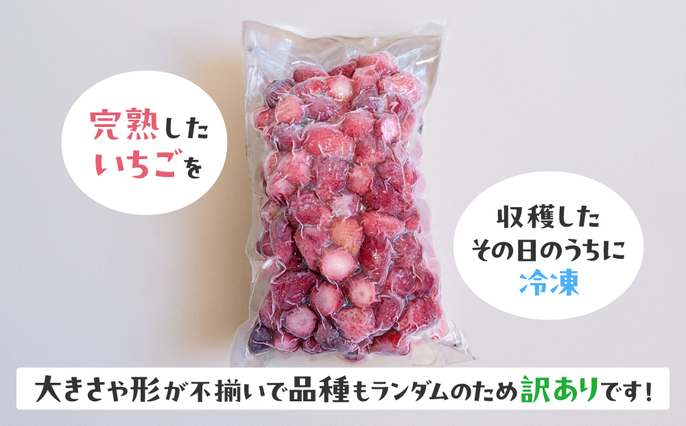 【訳あり】冷凍いちご　1kg