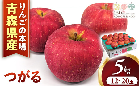 【先行予約】2026年発送 青森県産りんご つがる 約5kg りんご