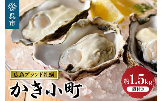 
【選べる配送時期】丸十水産 広島ブランド牡蠣 殻付き かき小町 約1.5kg (8～10個)
