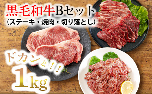 
黒毛和牛Bセット(ステーキ・焼肉・切り落とし) 3種 合計1kg 宮崎黒毛和牛の詰め合わせ [国産 国産牛 牛肉 お肉 赤身肉]
