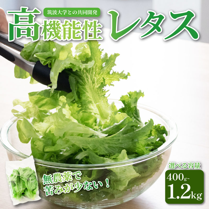 【ふるさと納税】 高機能性 レタス 無農薬 選べる容量 400g~1.2kg サラダ 生野菜 選べる3品種 フリルレタス グリーンリーフ グリーンオーク 産地直送 高機能性野菜 水耕栽培 新鮮 弁当 フードロス ダイエット ベジタブル ヴィーガン ベジタリアン アイクス 埼玉県 羽生市