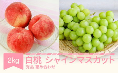先行予約 白桃秀品＆シャインマスカット 品種おまかせ 詰め合わせ 約2kg 令和七年産 2025年産 果物  送料無料 ns-fshsx2