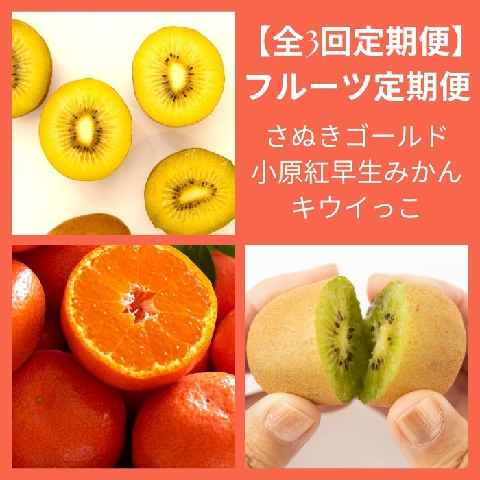 【ふるさと納税】【全3回フルーツ定期便】さぬきゴールドと小原紅早生みかんとさぬきキウイっこ〔提供：有限会社マミィギフトカガワ〕