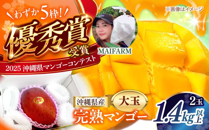 【最優秀賞受賞】沖縄県産 完熟マンゴー 大玉 2個入り マンゴー 沖縄 果物 フルーツ ギフト 沖縄市 / MAIFARM[BCAN006]
