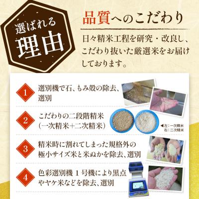 ふるさと納税 大仙市 《4ヶ月》25kg大手有名百貨店出荷米 あきたこまち【白米】令和7年産|22_trp-112504 |  | 03