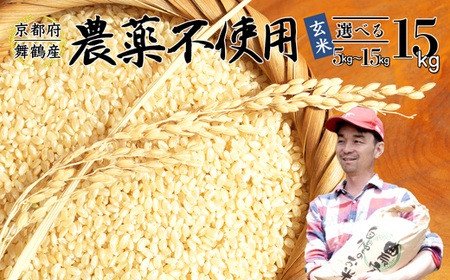 【令和7年度産 新米 先行予約】 棚田米 玄米 15kg コシヒカリ 栽培期間中 農薬不使用 お米 玄米 玄米 玄米