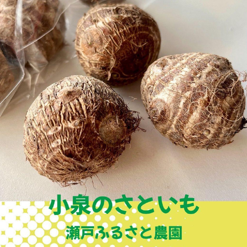 【栽培期間中無農薬】野菜のプロが選ぶ. 旬の野菜・卵・天然塩・ハーブティー  全６〜８品詰め合わせセット（レシピ付き） 野菜 塩 卵 たまご 有機農家  野菜セット オーガニック レシピ 広島県 三原