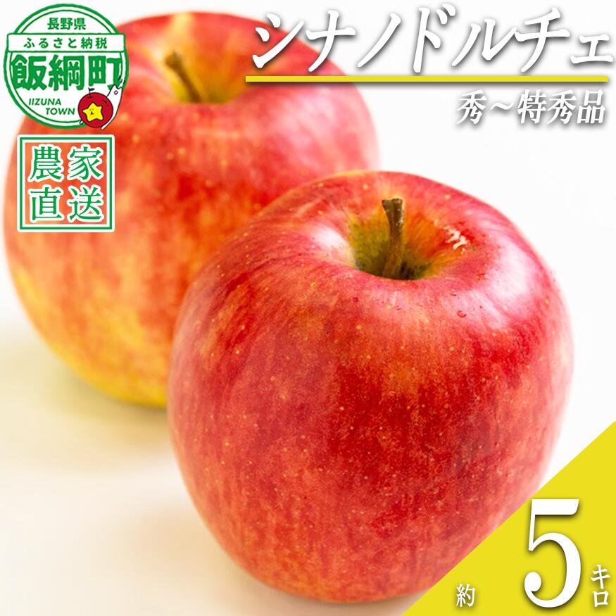 【ふるさと納税】 りんご シナノドルチェ 5kg 秀〜特秀 関果樹園もりんご 沖縄県への配送不可 〔 果物 フルーツ 林檎 長野 予約 農家直送 贈答用 5キロ 16000円 〕【令和8年度収穫分】 発送：2026年9月中旬〜