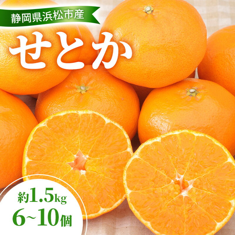 【ふるさと納税】【2026年2月以降発送】 せとか 約1.5kg 6～10個 柑橘の最高峰 かんきつ 柑橘 みかん ミカン 蜜柑 人気 静岡 浜松市　お届け：2026年2月11日～3月10日まで