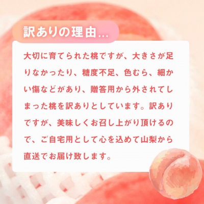 【寄付金額変更 13,000円→12,000円】訳あり 桃3kg以上【配送不可地域：離島】