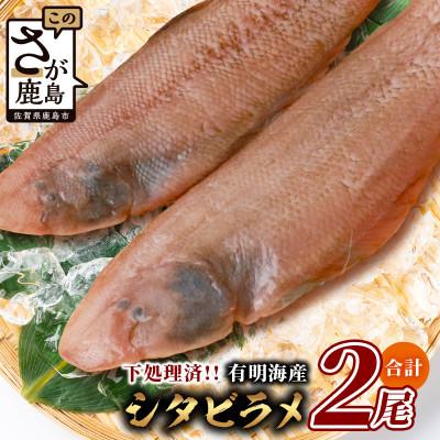 ふるさと納税 鹿島市 【下処理済で簡単調理】有明海産 シタビラメ約150g×2尾【合計約300g】