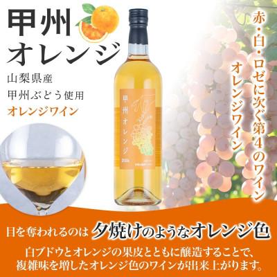 ふるさと納税 湯浅町 オレンジワイン 甲州オレンジ 12度 720ml ミディアム  芳醇 ギフト 湯浅ワイナリー |  | 01