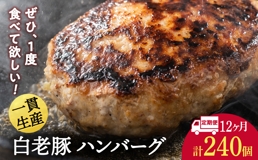 【定期便 12カ月】 北海道産 白老豚 ハンバーグ 120ｇ×20個 セット 冷凍 洋食 おかず BV039_イメージ1