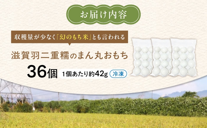 滋賀羽二重糯 丸餅 モチ 餅 もち まるもち 丸いお餅 丸い餅 羽二重糯 羽二重餅 お雑煮 焼餅 お汁粉 人気 おすすめ 長浜市