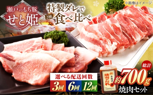 【全3回定期便】冷凍 肉「瀬戸のもち豚せと姫」焼肉セット約700g  (バラ400g・ロース300g・自家製焼肉のタレ) おすすめ 人気 美味しい おいしい 絶品 国産 ブランド豚 もち豚 カルビ BBQ バーベキュー キャンプ ホットプレート ごちそう 簡単調理 大容量 便利 冷凍 保存 ギフト プレゼント 贈り物 お祝い お中元 お歳暮 広島県福山市/日本畜産株式会社[BAER050]