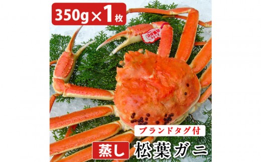 タグ付き 蒸し松葉蟹×1枚（350g前後）【鳥取県 境港市】