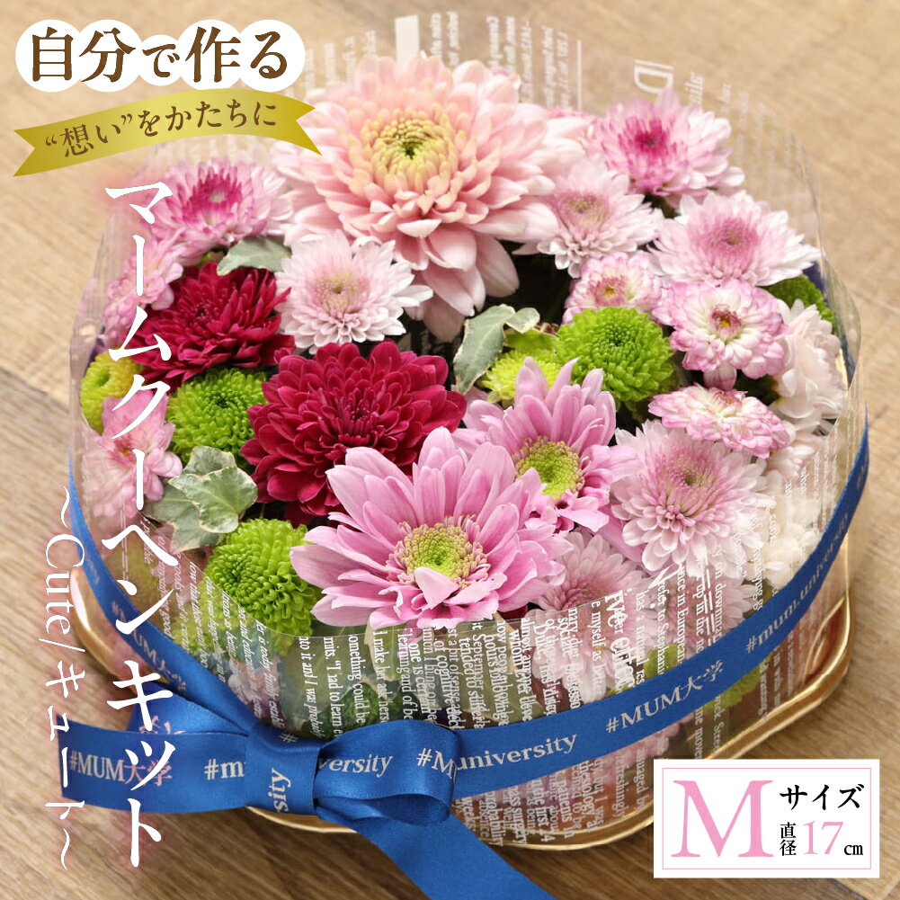 【ふるさと納税】【マームクーヘン キット】～Cute/キュート～ 花束 観賞用 ギフト プレゼント 贈り物 贈答用 自分用 植物 花 フラワー 癒し はな 華 産地直送 田原市 送料無料