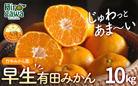 早生 有田みかん10kg (大玉）2L～ ※2026年11月～2027年1月中旬順に順次発送予定 【tkn004-wr-l-10-12A】