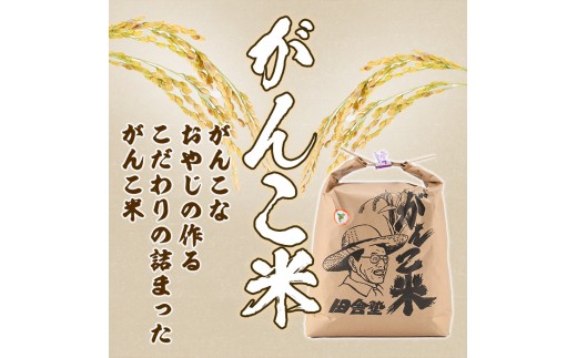 ＜令和8年産 新米 先行予約！＞田舎塾特別栽培米「がんこ米ゆめぴりか」(5kg) 【2026年10月上旬以降順次発送】 米 お米 白米 北海道産 北海道米 ゆめぴりか 特A 一等級 ごはん おこめ コ