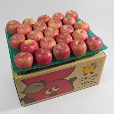 【26年11月から順次発送】平均糖度13度以上! サンふじ 約10kg 贈答 青森県産 りんご【配送不可地域：沖縄県】