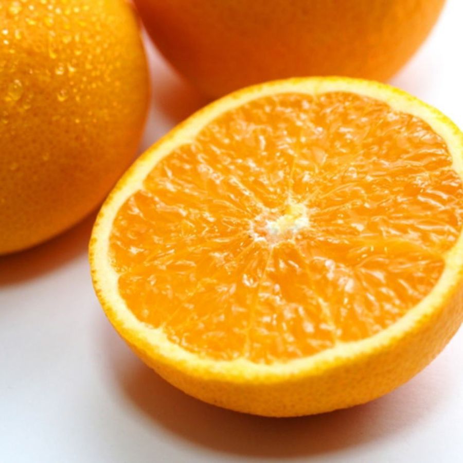 有田産「清見オレンジ」秀品(M~2Lサイズ)5kg