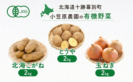 先行予約 有機野菜 3種セット 6kg とうや 北海こがね 玉ねぎ