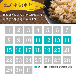 【令和8年産】《6回定期便：10月開始偶数月コース》 はえぬき 玄米 合計60kg （10kg（5kg×2袋）× 6回） 山形県産 【 新米 】 120-C-JF017-偶数月-R8