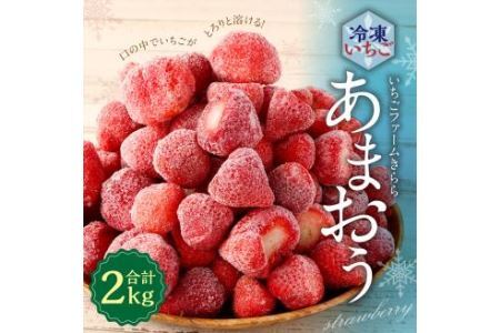 「いちごファームきらら」のあまおう冷凍いちご 2kg【2025年1月下旬発送開始】