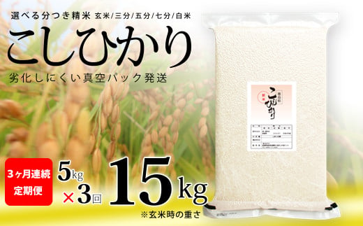 こしひかり 玄米時重量 5kg×3回 3ヶ月連続 定期便 玄米時重量15kg 分づき米 対応可 真空パック コシヒカリ 米 簡易梱包 エコ梱包