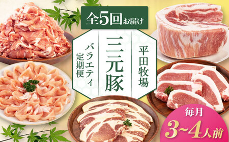 【全5回定期便】 平田牧場 バラエティ定期便 3~4人前 豚肉 ロース バラ肉 ステーキ [AJAP127]