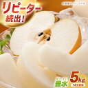 【ふるさと納税】【数量限定】梨（豊水）約5kg（14玉前後）ー2025年8月より発送ー 長与町/溝上農園 [EBY002] 長崎県産 期間限定 先行予約 大容量 フルーツ なし 梨 ほうすい