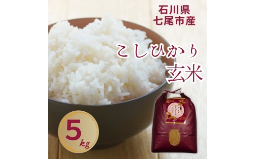 【令和7年産】石川県七尾市産 コシヒカリ 玄米 5Kg