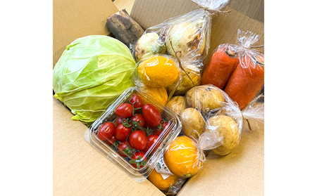 【全4回 2月・5月・8月・11月】 季節の野菜 詰め合わせ 定期便 「ノウフク・プロジェクト」【就労支援】