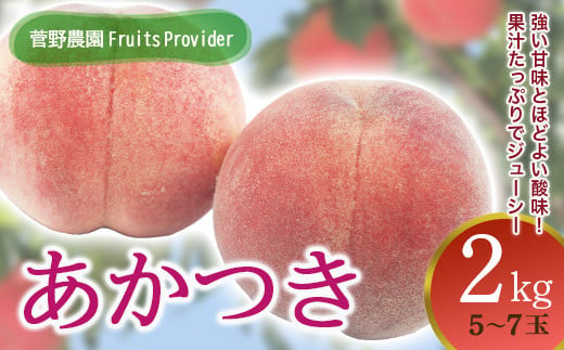 福島県産 あかつき 2kg 2025年7月下旬～2025年8月中旬発送 2025年出荷分 先行予約 予約 伊達の桃 桃 もも モモ 果物 くだもの フルーツ 名産品 国産 食品 F20C-611