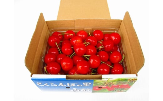 08-02-002　さくらんぼ(紅秀峰)500g