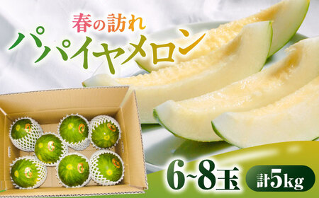 【2026年3月中旬?発送】パパイヤメロン 6から8玉 約5kg / メロン めろん 果物 フルーツ / 南島原市 / うえだメロン園[SAD008]