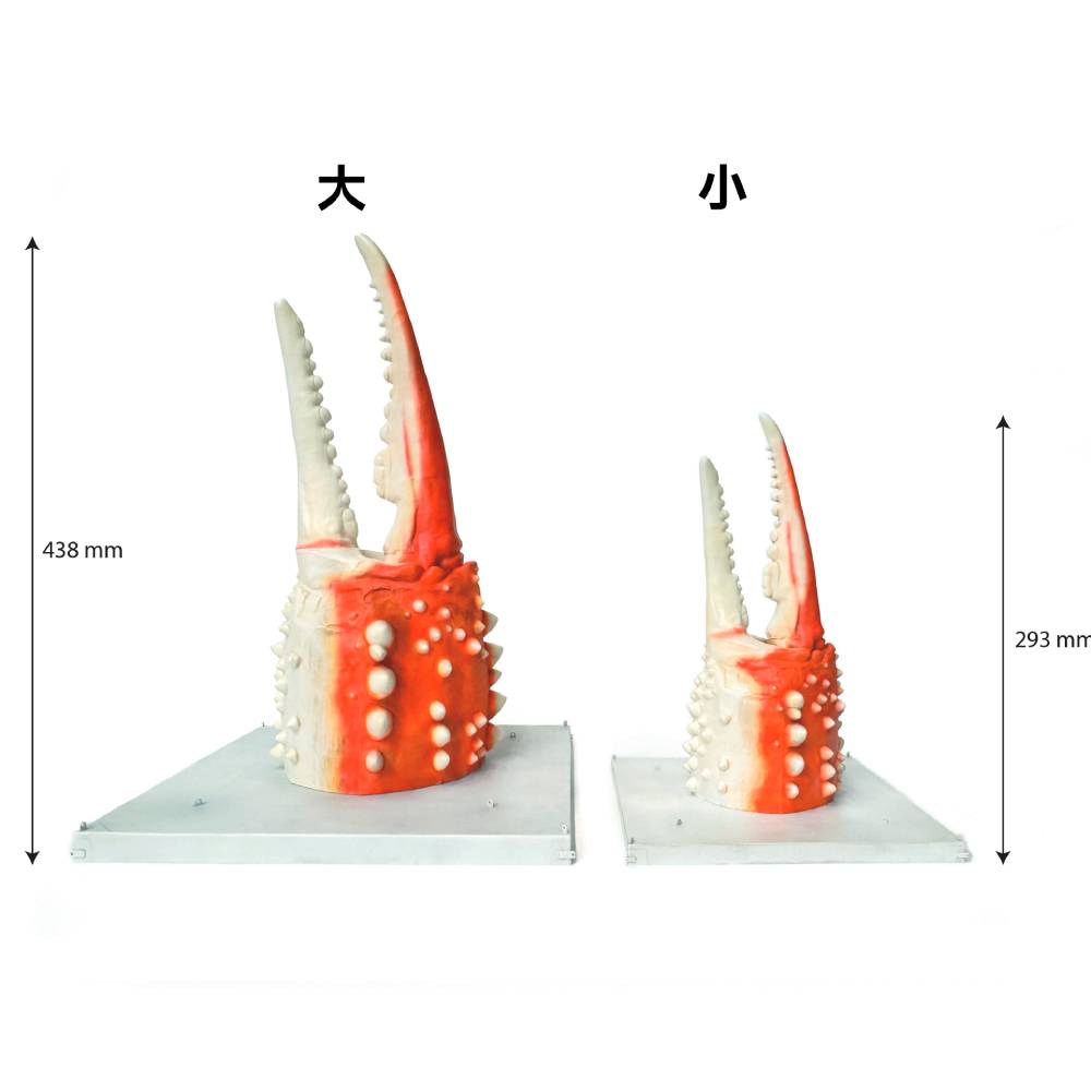 95-6 紋別 カニの爪オブジェ - 修復版, 大 -