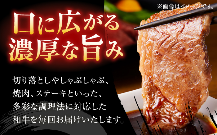 博多和牛　厳選定期便全12回＜一般社団法人地域商社ふるさぽ＞ 那珂川市 [GBX187]