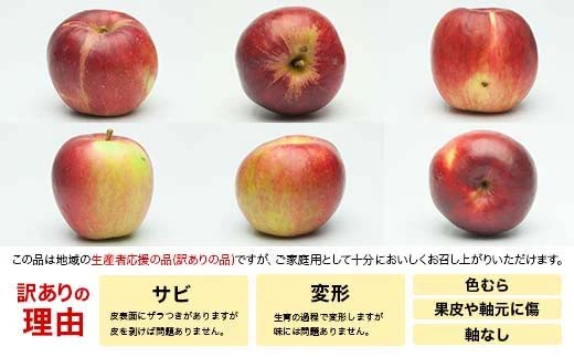 FYN9-967 【農業者支援】ご家庭用 2025年 山形県産 品種おまかせ りんご 赤色系 約10kg 2025年10月上旬から順次発送 果物 くだもの フルーツ 林檎 リンゴ アップル 秋果実 生